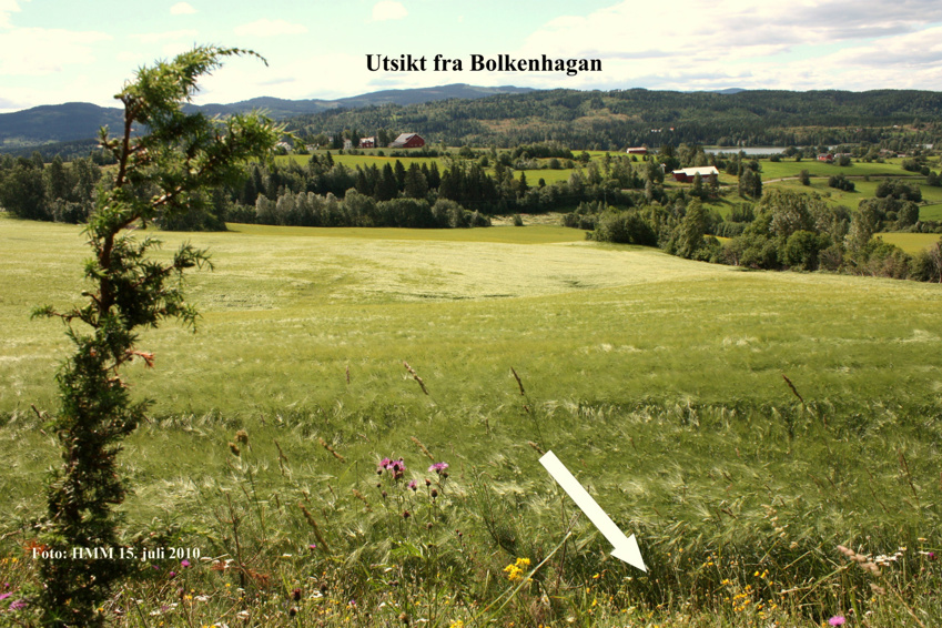 Kongelig bryllupp